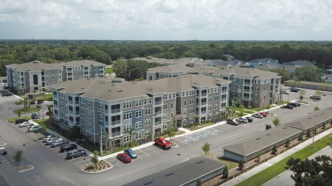 Building Photo - Dunedin Commons Apartments Bld 6