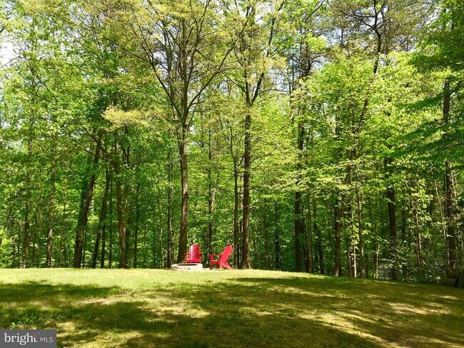 Building Photo - 8 Plumosa Dr