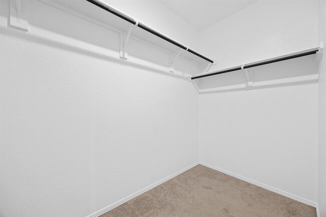 Building Photo - 25803 Hickory Pecan Trl