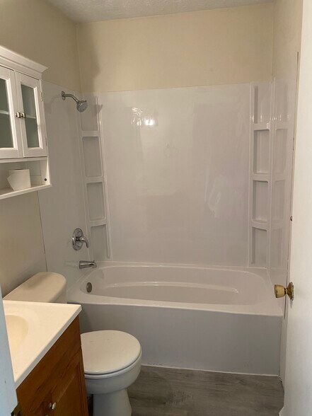 Bathroom all new tub and shower wall - 6656 Palmer Dr NW