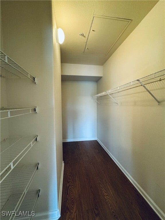 Building Photo - 13100 Bella Casa Cir