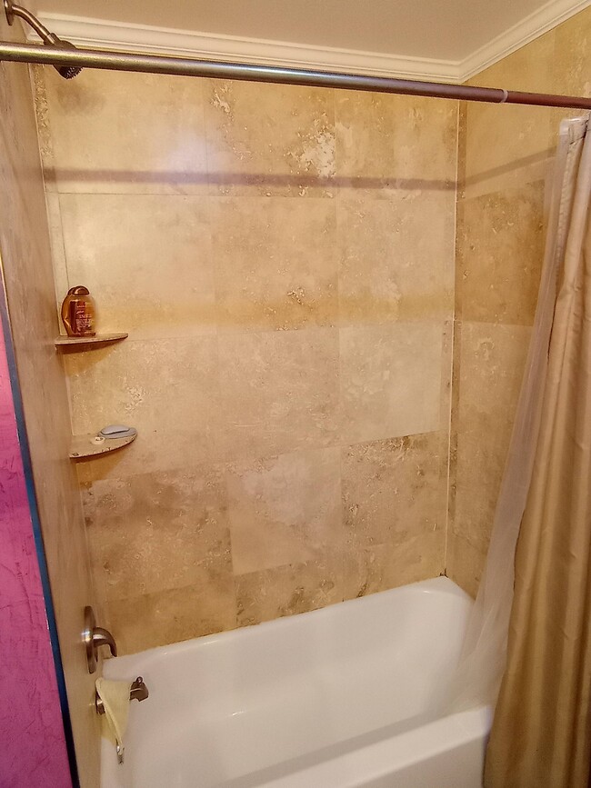 Bathtub / Shower - 1970 Columbia St