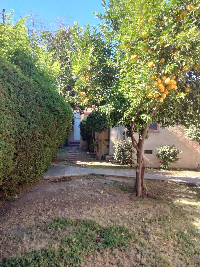 Building Photo - 15235 La Maida St