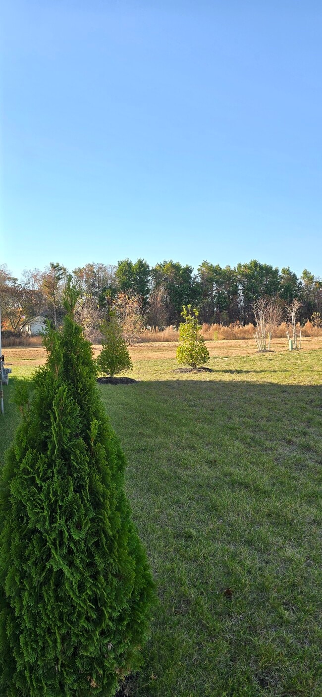 Building Photo - 35169 Wright Way