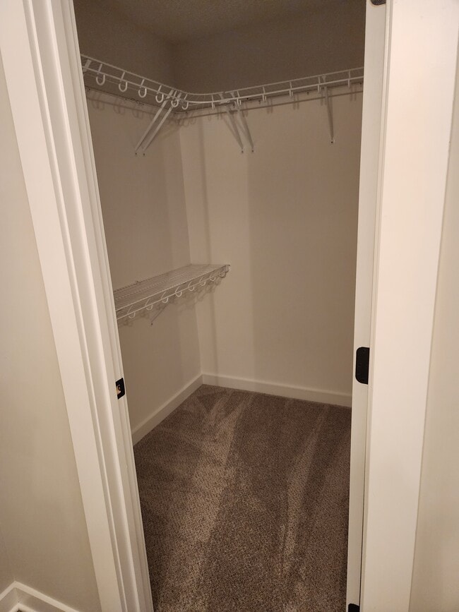 Building Photo - 717 Perrigan Ln