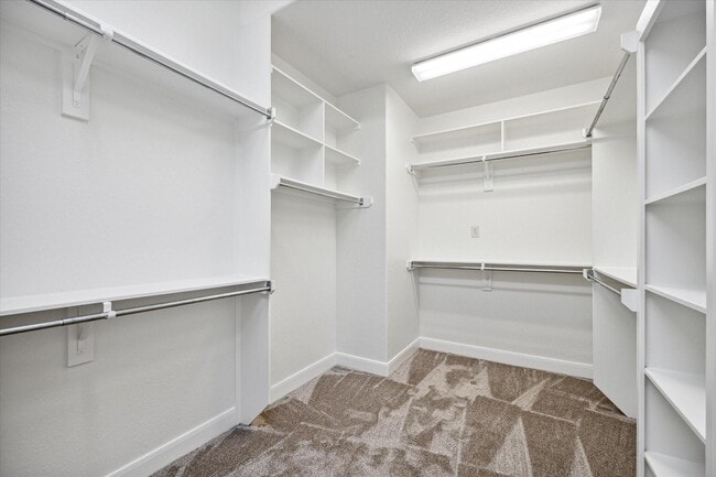 Building Photo - 95 N Mews Wood Ct