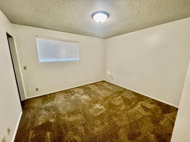 Building Photo - 3-BR Basement Duplex in Santa Clara