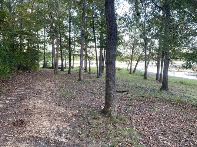 Building Photo - 2 Bedrooms, 2 Bathrooms - Home in Cedar Bluff!