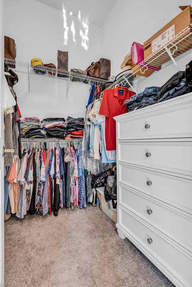 Building Photo - 5320 St Armands Way