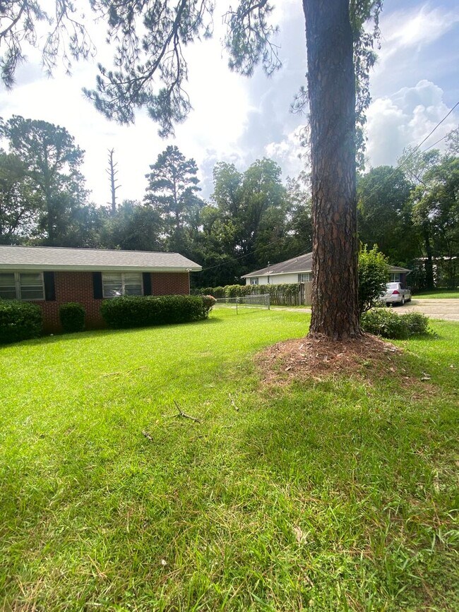Building Photo - 3/1.5 Home Walking /Biking Distance to FSU