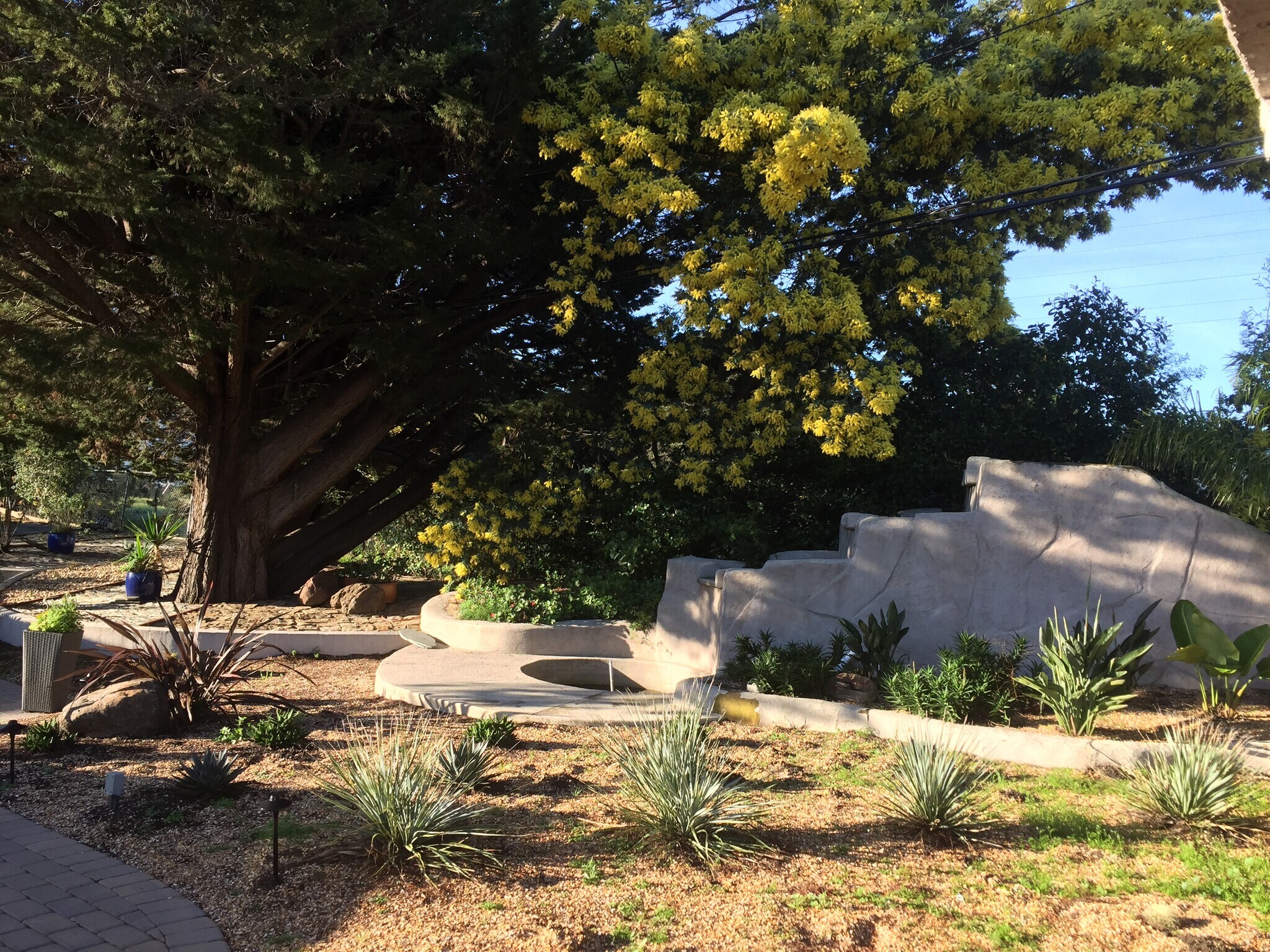 Building Photo - 1485 Lakeview Dr