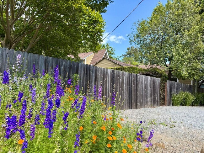 Building Photo - 534 Northern Ave