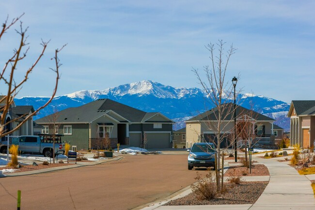 Building Photo - Gorgeous 4 Bedroom Home in Wolf Ranch