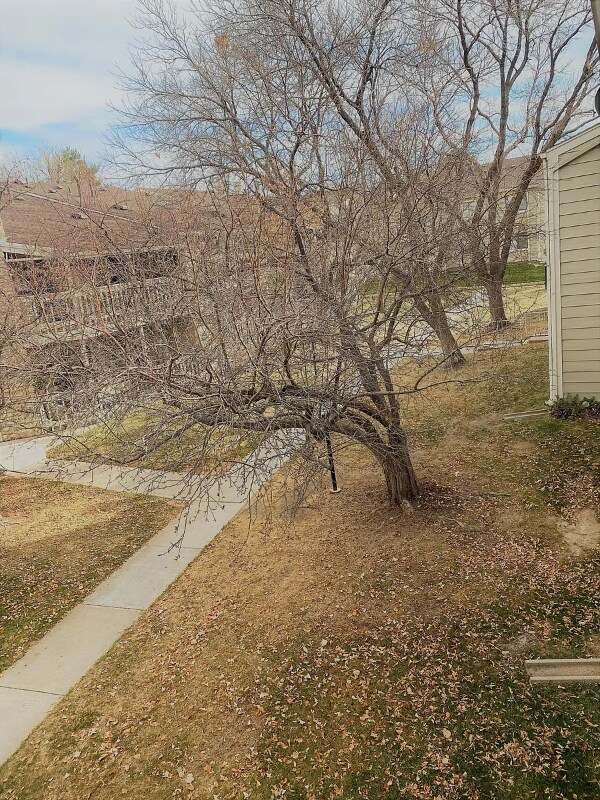 Building Photo - 8225 Fairmount Dr