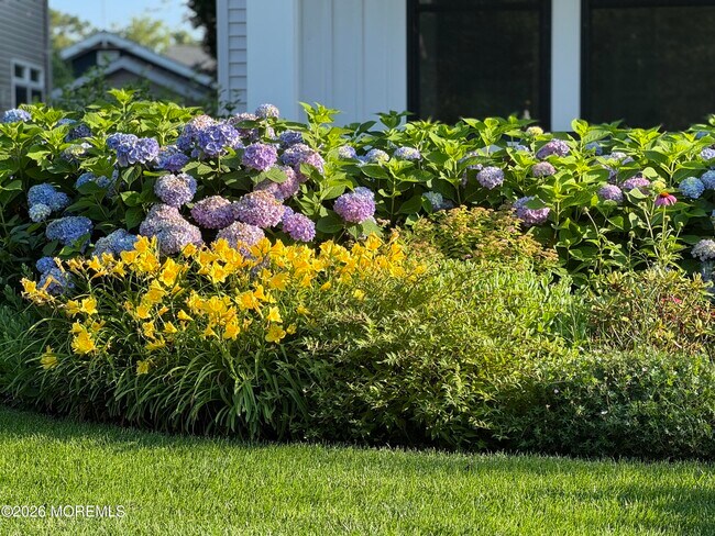 Building Photo - 513 Morris Ave