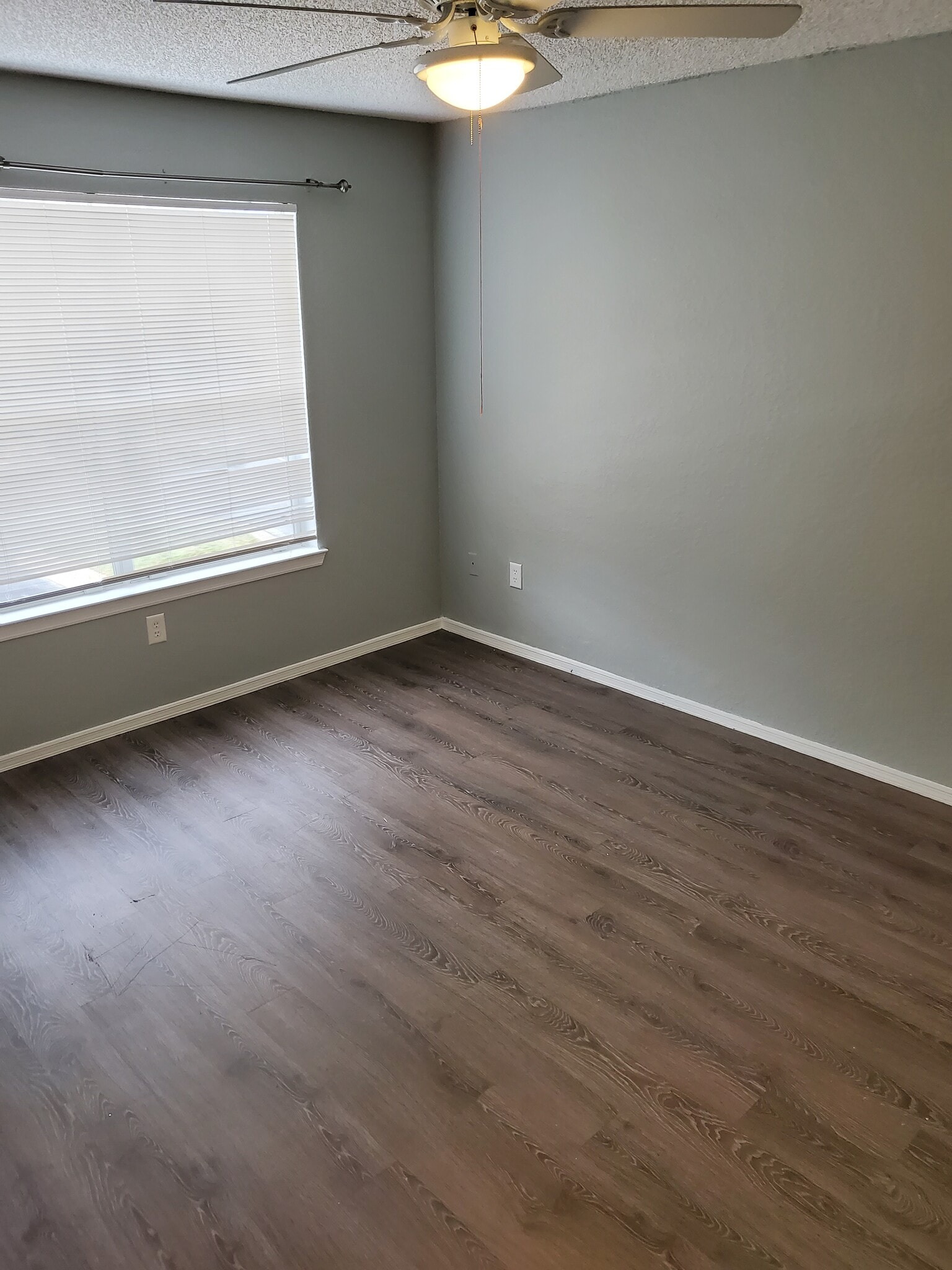 Building Photo - 4105 Tropical Isle Blvd