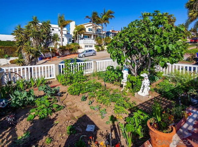 Building Photo - Ocean Beach detached Home w Yard