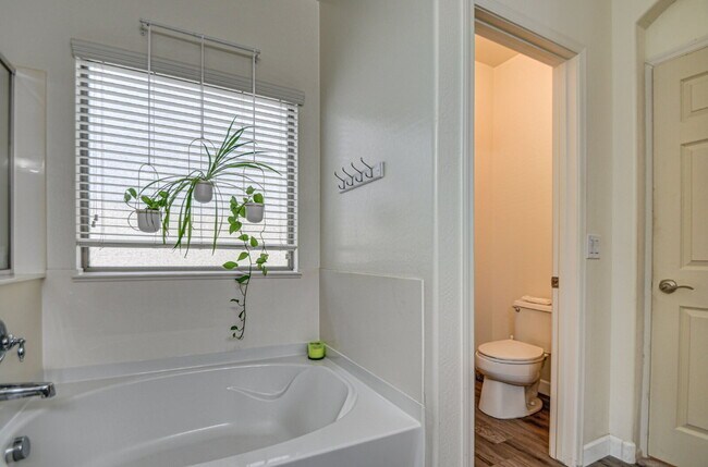 Building Photo - Del Rio Ranch Beauty