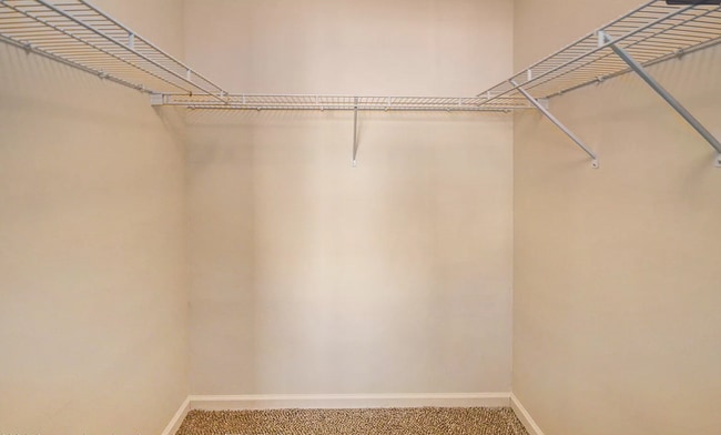 Walk-In Closet - 12947 Townsend Dr