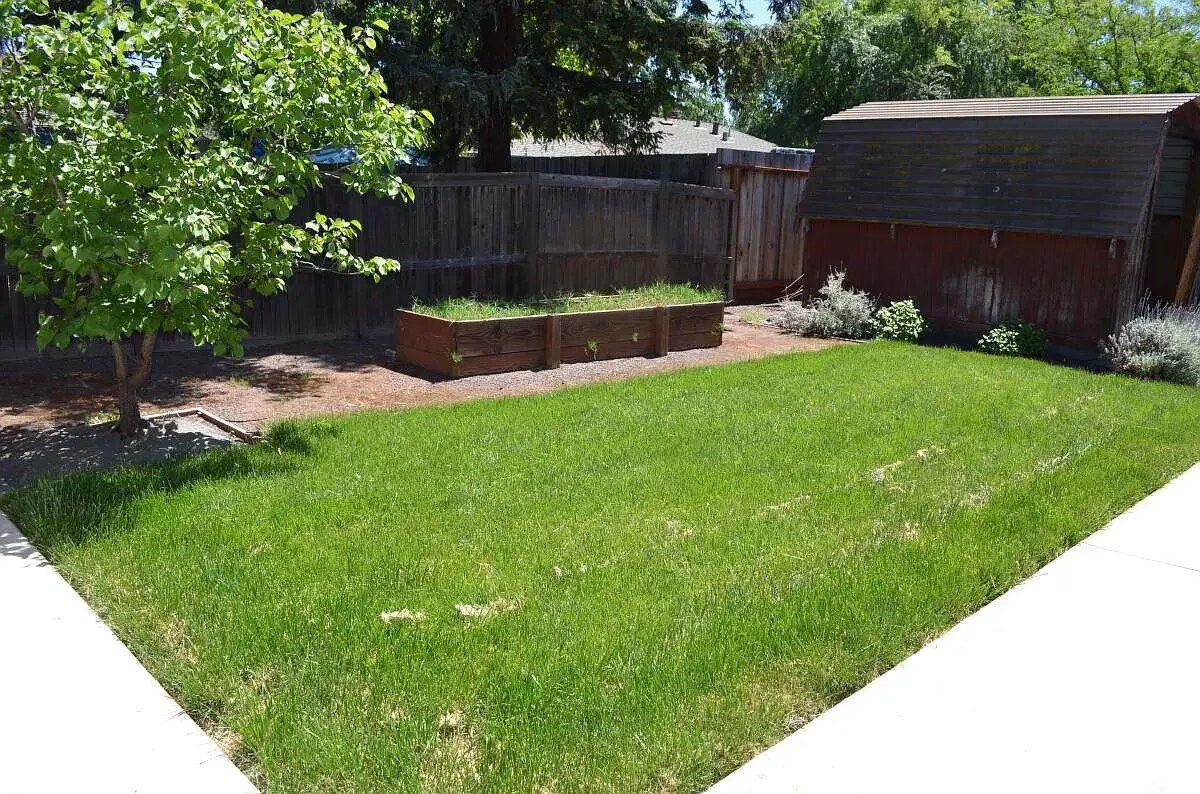 Backyard - 2355 Geraldine Dr