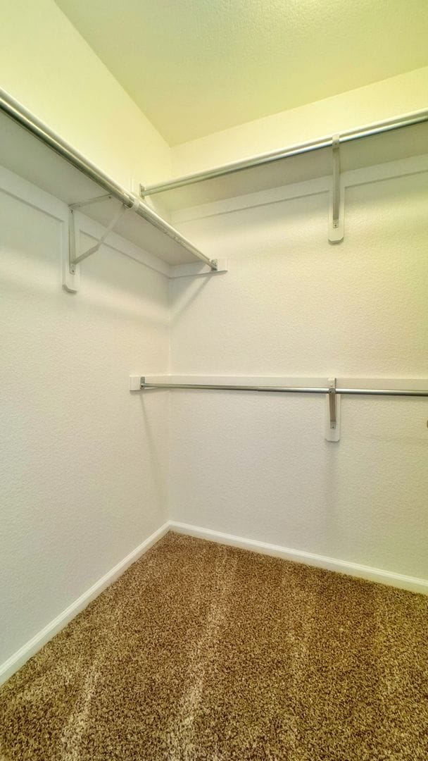 Building Photo - Fantastic NEWER Paint NEWER Carpet 2 Bed 2...