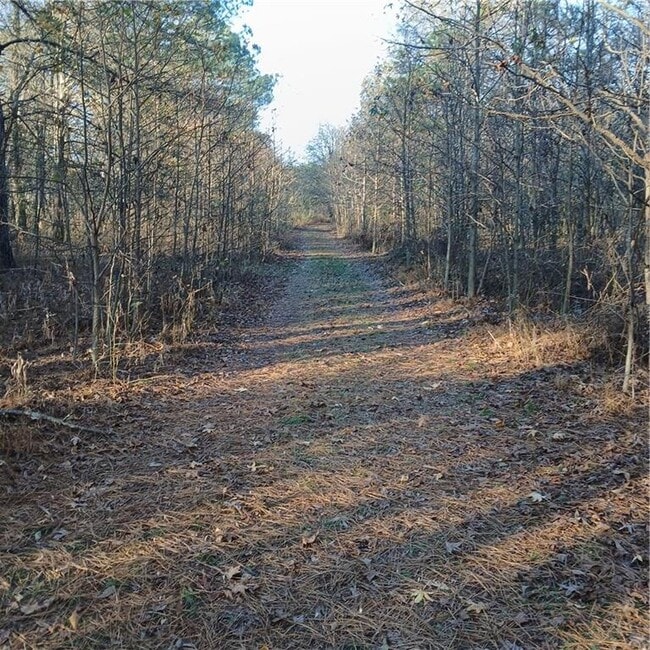 Building Photo - 241 Nacoochee Dr