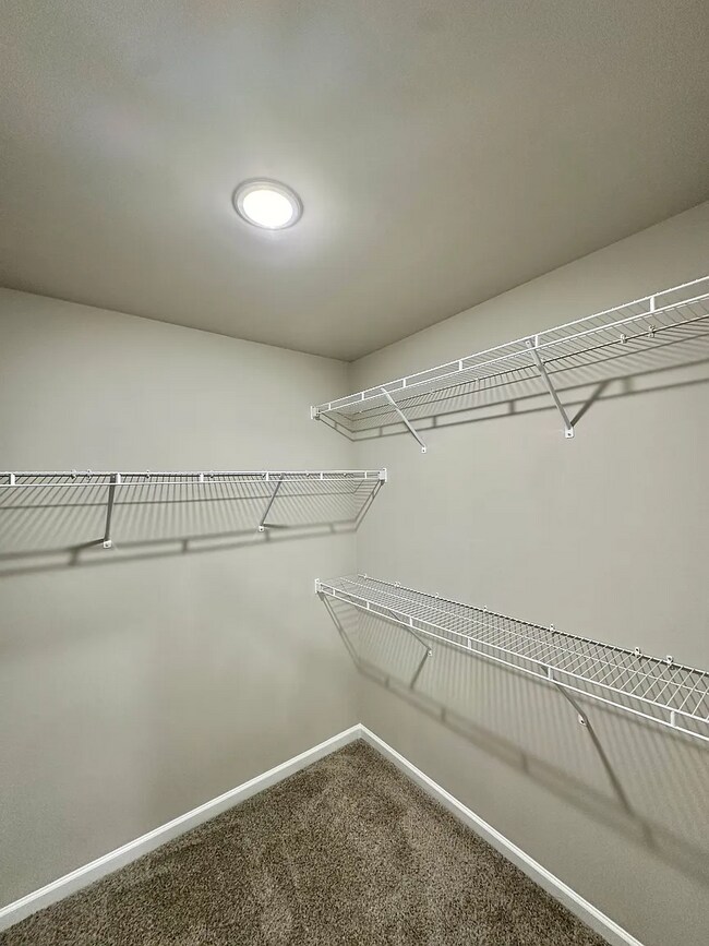 Building Photo - 3241 McGee Hl Dr