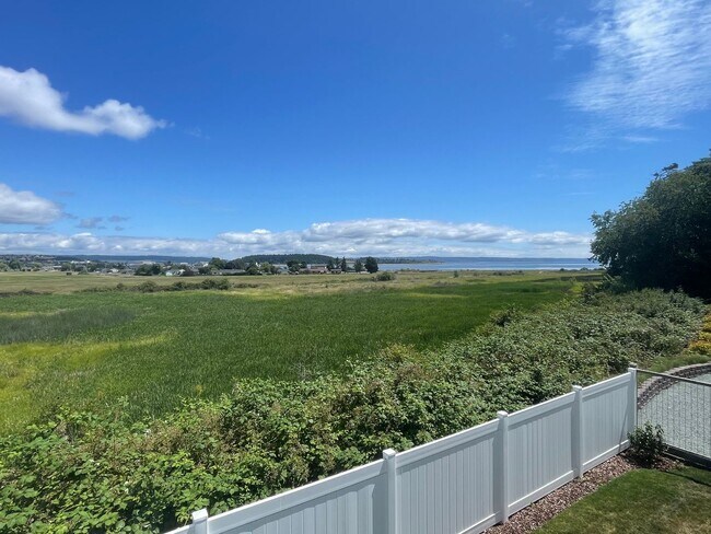Building Photo - Spacious and Modern 3 Bedroom Sunlit Basem...