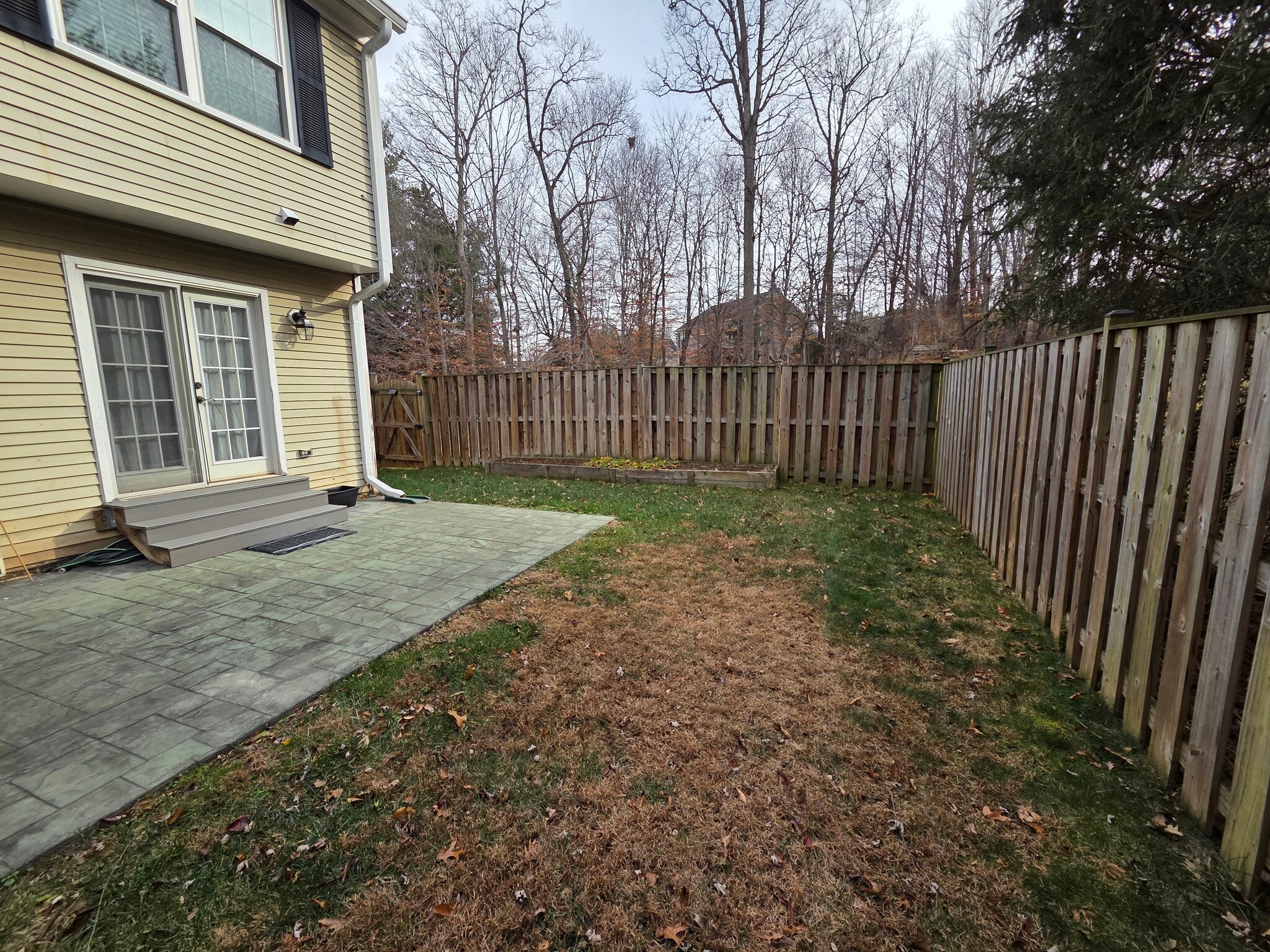 Back Yard - 115 Waltham Ct