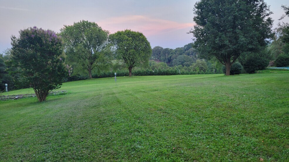 Rear Yard - 1835 River Rd