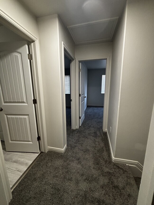 Building Photo - 4815 Levi Ln