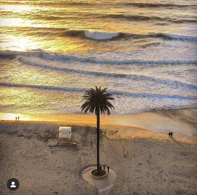 Building Photo - 1445-47 Neptune Ave