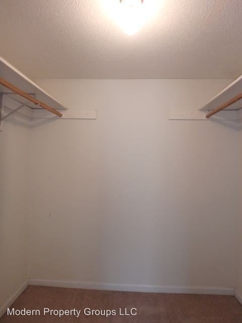 Building Photo - 3 br, 2 bath House - 4631 Brandon Woods St.