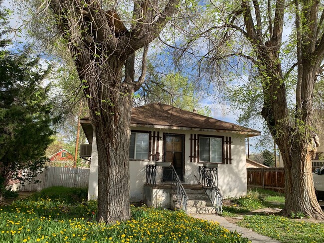 Primary Photo - 4 bedroom tree Street home in Elko