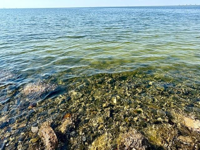 Building Photo - 5000 Culbreath Key Way