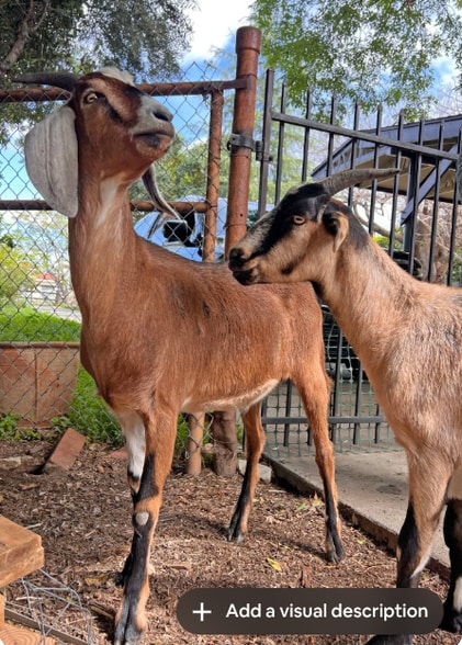 Building Photo - 5443 Aura Ave