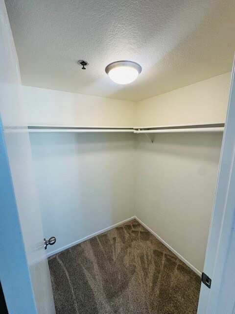 Building Photo - 501 S Shelton St