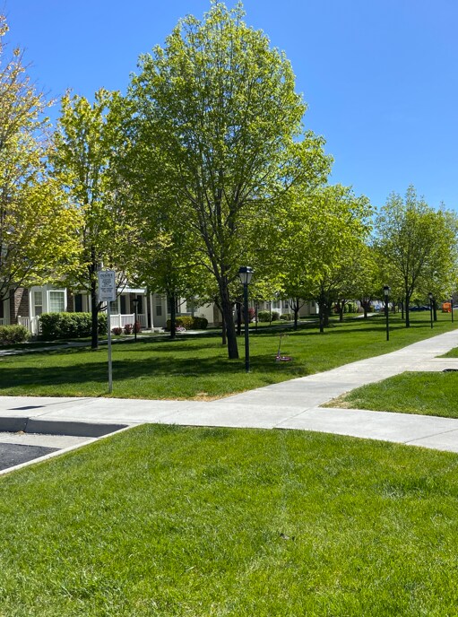 Building Photo - 879 Capital Ave