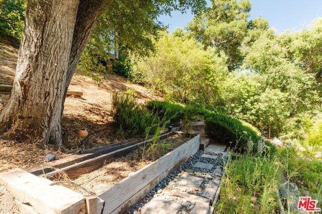 Building Photo - 1149 Old Topanga Canyon Rd