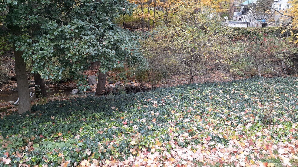 Creek in Backyard - 23 Union St