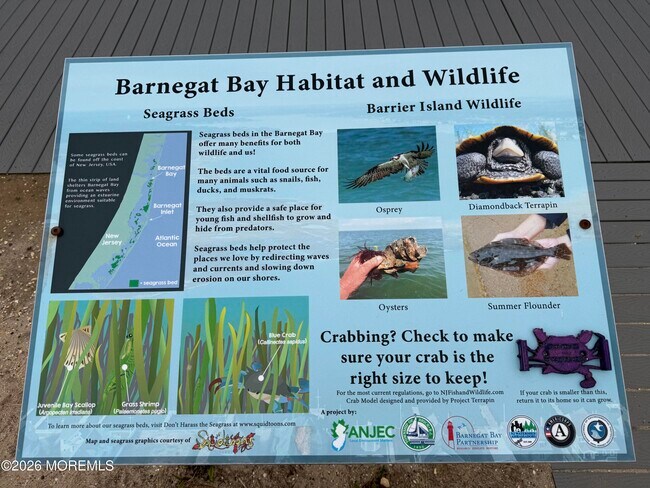 Building Photo - 26 Shell Rd