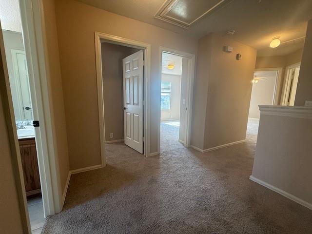 Building Photo - 172 Coreopsis Cove