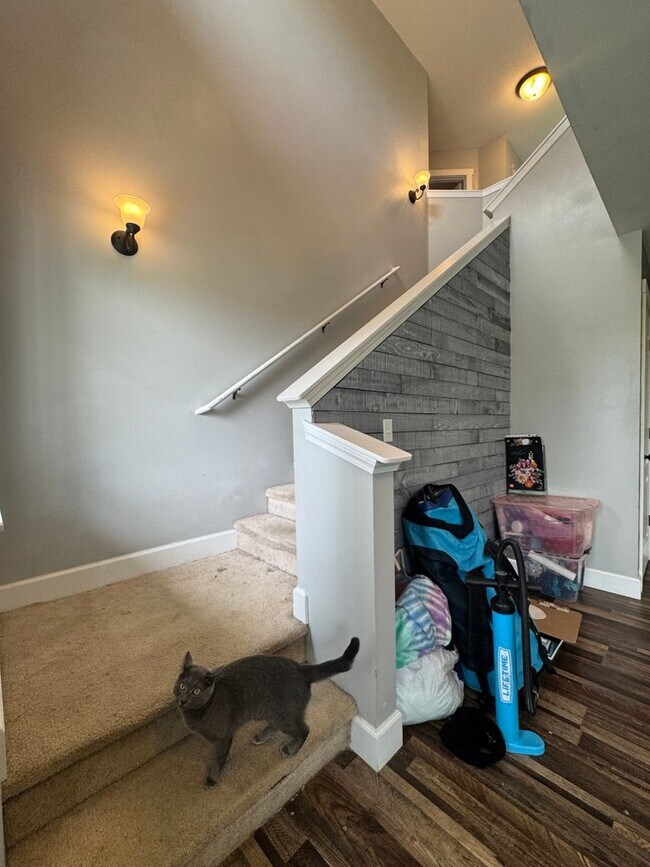 Building Photo - HUGE PET FRIENDLY Rental