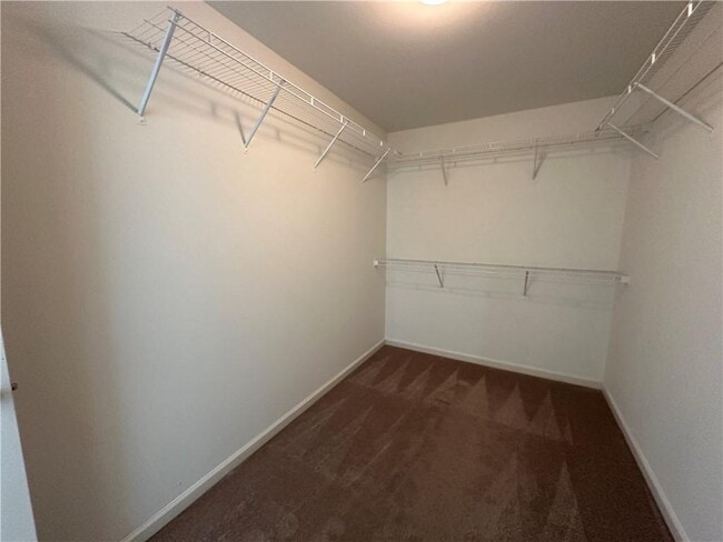 Building Photo - 2378 Centenary Way Ct