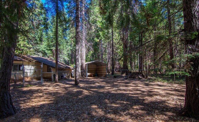 Building Photo - Furnished Shingletown Home with Horse Corr...