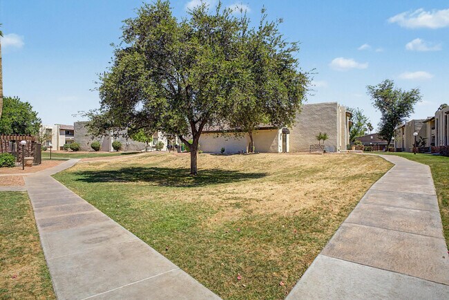 Building Photo - 3825 E Camelback Rd