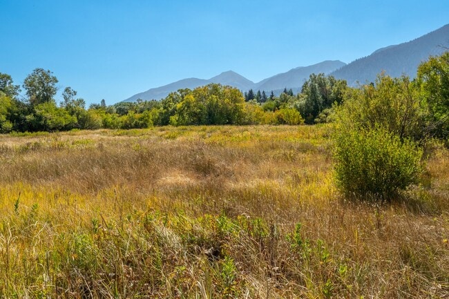 Building Photo - Spacious Snowcreek III Condo – Winter Rental