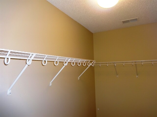 Building Photo - 96 Blue Jasmine Ln