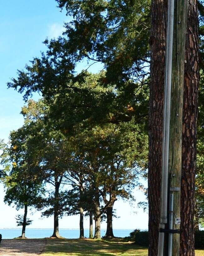 Building Photo - Water View, private wooded lot on dead end street!