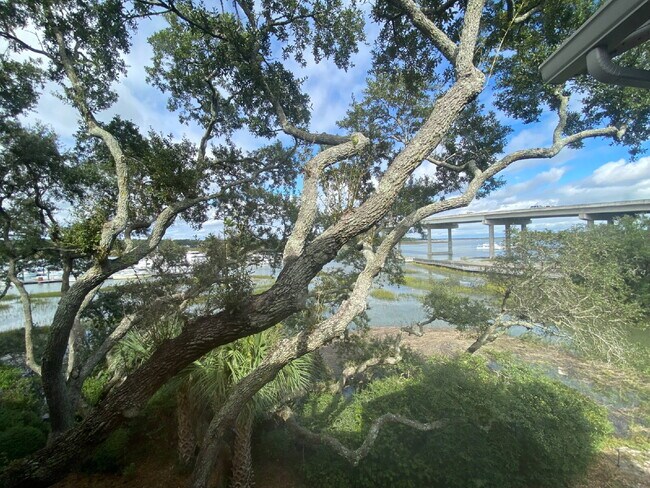 Building Photo - Waterfront Views at Palmetto Bay Marina!